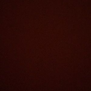 Meet your Posher, Carleigh